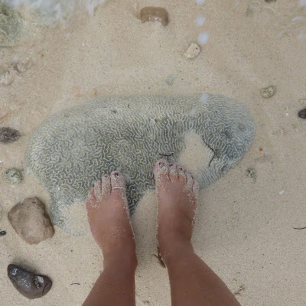 Meet your Posher, Cindy